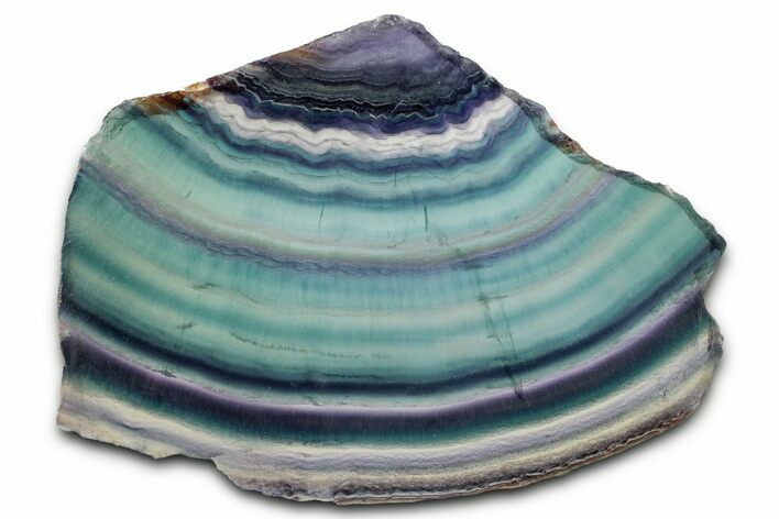 Colorful Polished Rainbow Fluorite Slab #338327